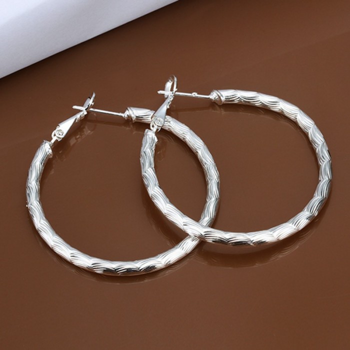 SE341 Silver Jewelry Circle Hoop Earrings For Women