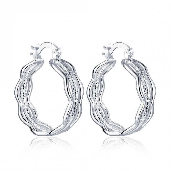 SE665 Silver Jewelry Circle Hoop Earrings For Women