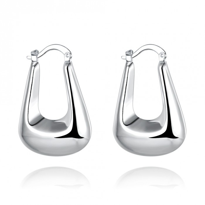 SE703 Silver Jewelry Bag Hoop Earrings For Women